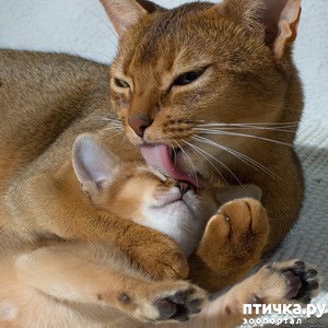 ����: ����� ������� � ���� ��������))