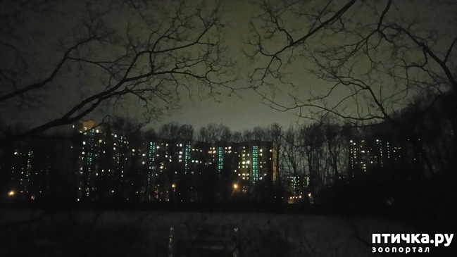 ���� 1: ���������-����.