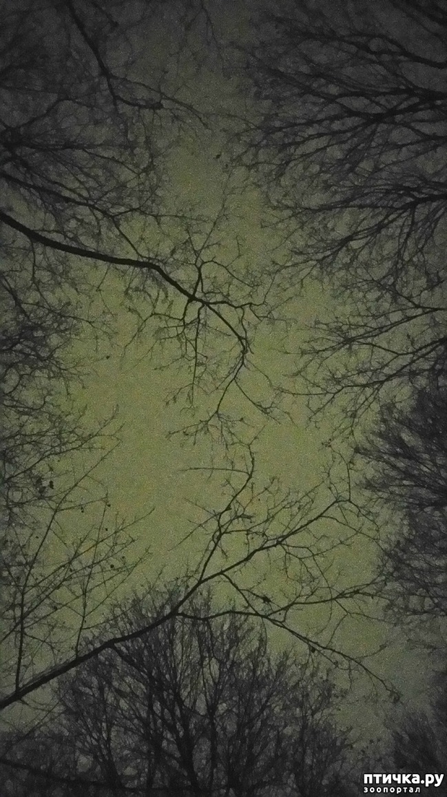 ���� 2: ���������-����.