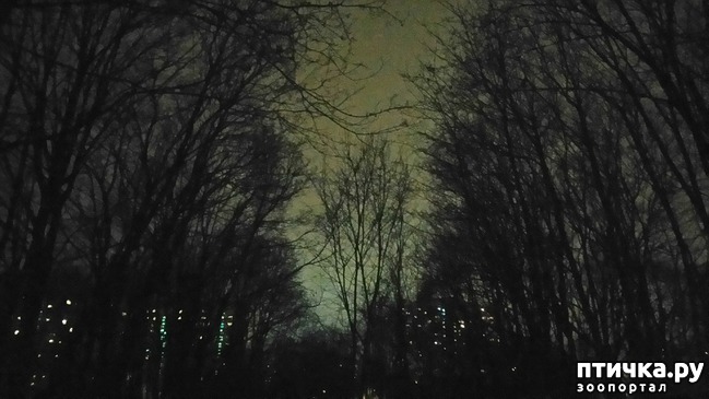 ���� 3: ���������-����.