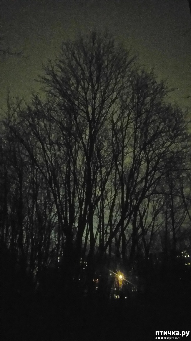 ���� 4: ���������-����.