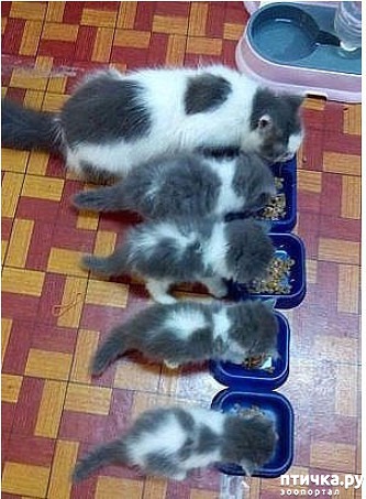 ���� 1: ������� � ����������� ����