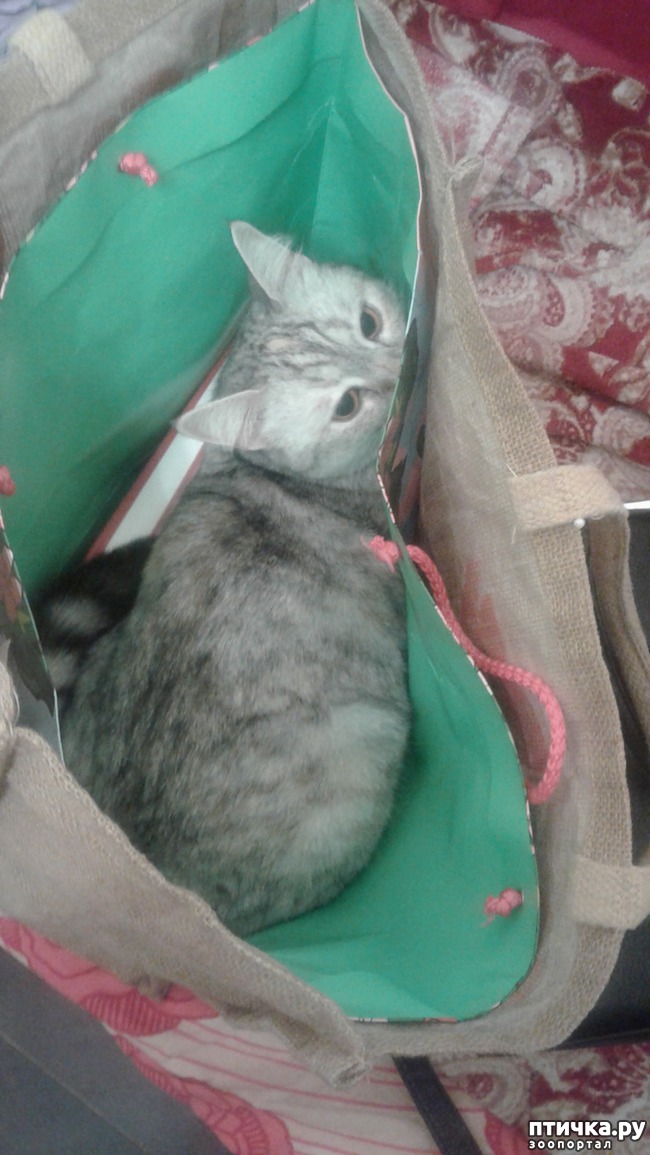 ���� 4: �������� �� �������!)))