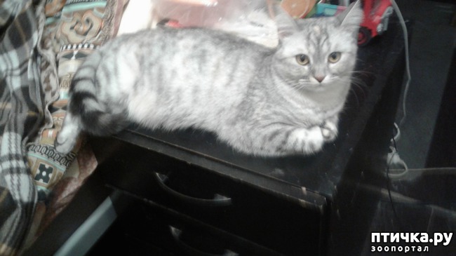 ���� 6: �������� �� �������!)))