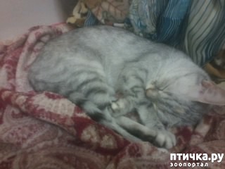 ���� 8: �������� �� �������!)))