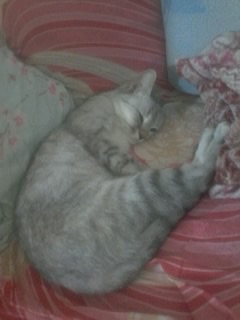 ���� 9: �������� �� �������!)))