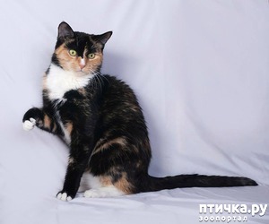 ����: ������� ����� ��� ����� � ��� "��������