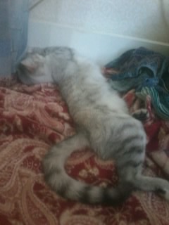 ���� 10: �������� �� �������!)))