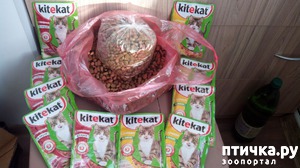 фотография: Персональный подарок для Стеши фото: Персональный подарок для Стеши