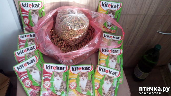 ���� 1: ������������ ������� ��� �����