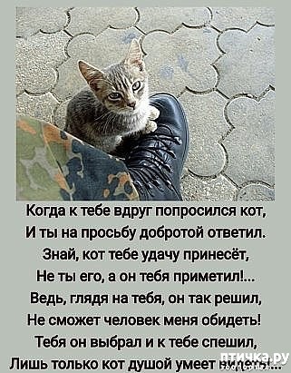 ���� 1: ������� � �����