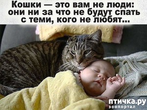 ����: ����� �� ����