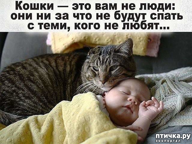 ���� 1: ����� �� ����