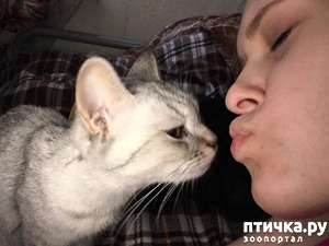 фотография: Приветик от Симонки!))) фото: Приветик от Симонки!)))