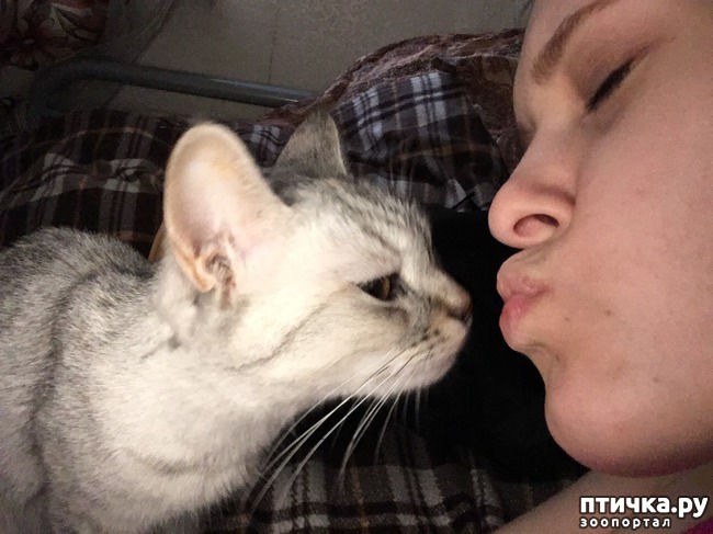 ���� 1: �������� �� �������!)))