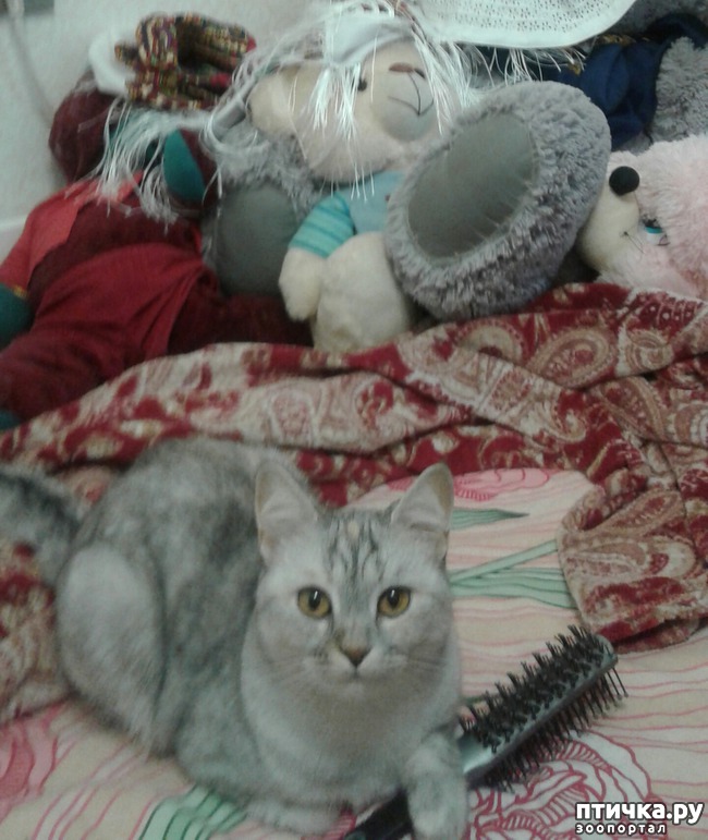 ���� 2: �������� �� �������!)))