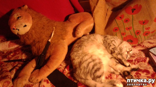 ���� 3: �������� �� �������!)))