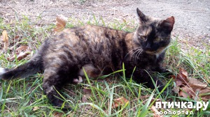 ����: ������� ������ �����