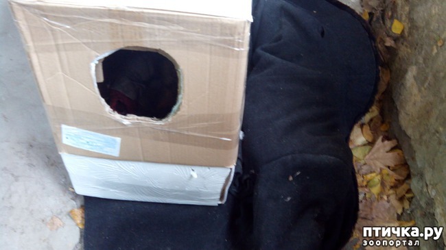 ���� 2: ������� ������ �����