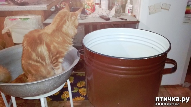 ���� 2: ����� ��� �������)