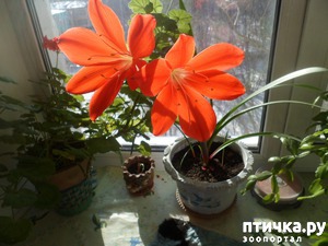 ����: � � ���� ������ ���������!)