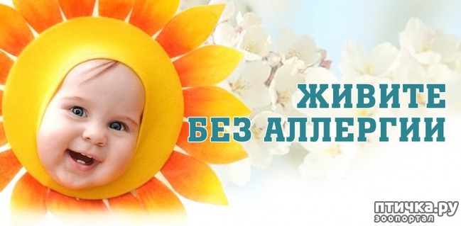 ���� 1: ��� � �������� ������� �� �������� ��������, ������� ����� ����� ���������� ������������ �������, ��� �� ������� ����, ���� ��������.