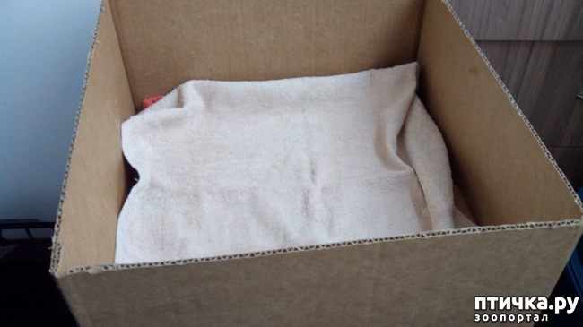 ���� 4: ������� ������ �����