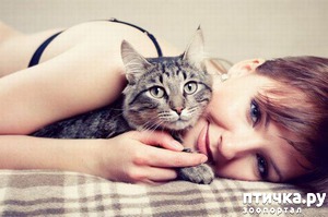 фотография: Выходной) фото: Выходной)