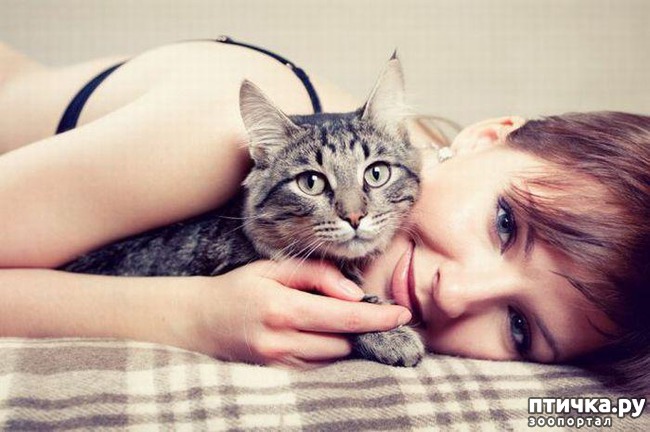 ���� 1: ��������)