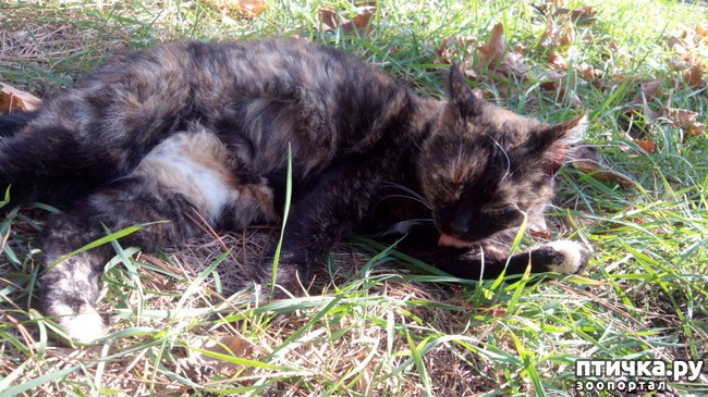 ���� 3: ������� ����