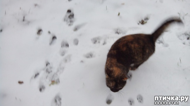 ���� 5: ������� ����