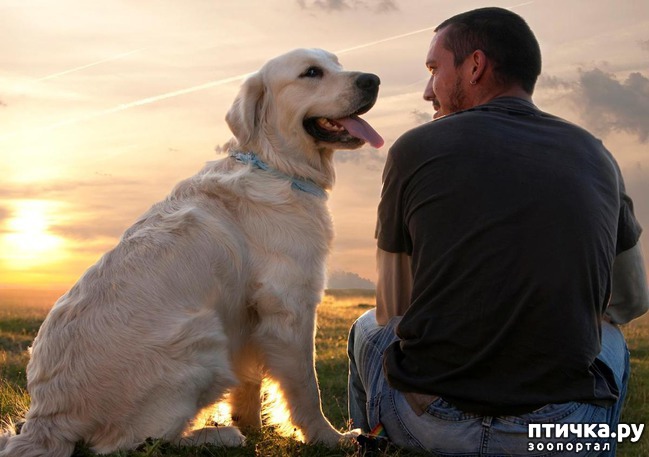 ���� 1: ��� ������ �������� ���� ������