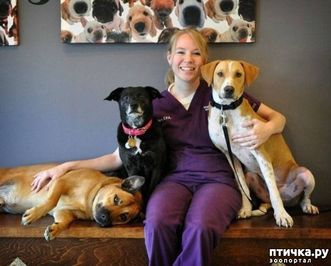 ���� 2: ��� ������ �������� ���� ������