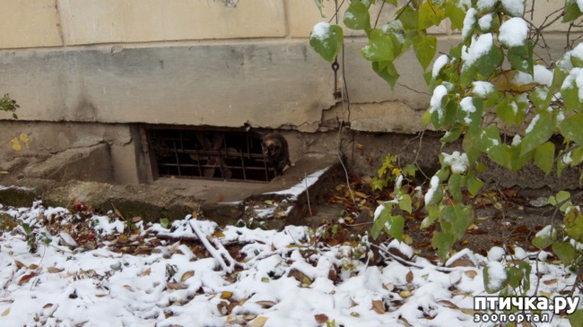 ���� 7: ������� ����