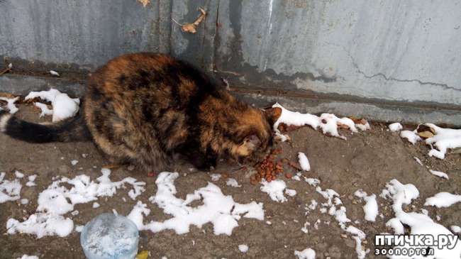 ���� 10: ������� ����