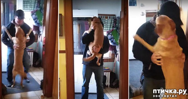 ���� 4: ��� ������ �������� ���� ������