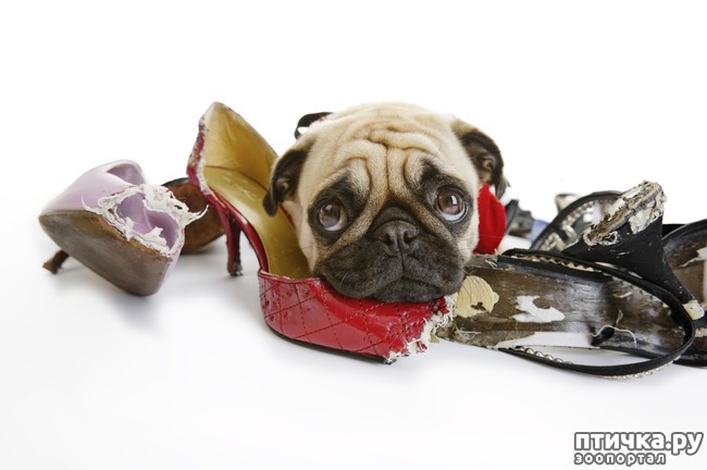 ���� 5: ��� ������ �������� ���� ������