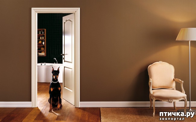 ���� 6: ��� ������ �������� ���� ������