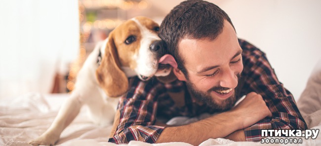 ���� 7: ��� ������ �������� ���� ������