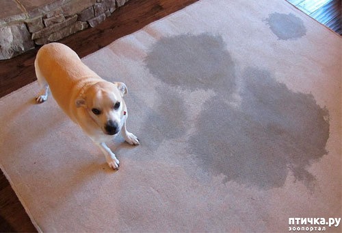 ���� 8: ��� ������ �������� ���� ������