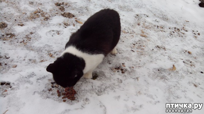 ���� 11: ������� ����