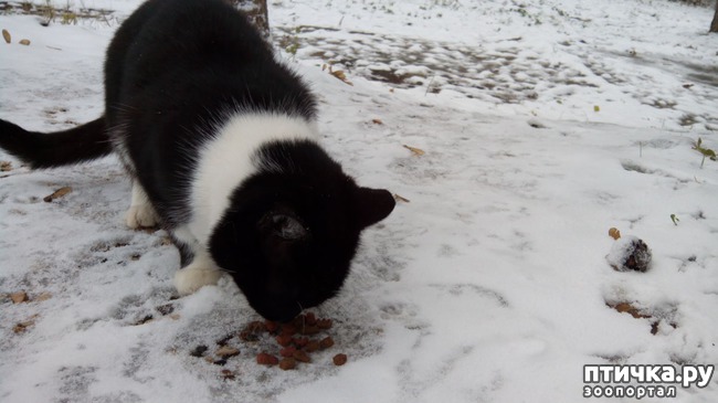 ���� 12: ������� ����