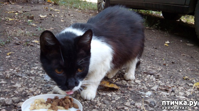 ���� 1: �������� ��� �����