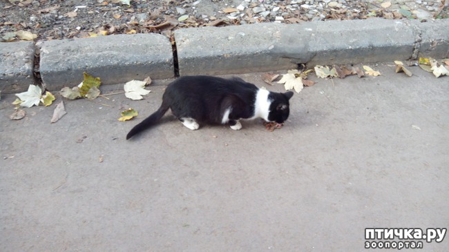 ���� 2: �������� ��� �����