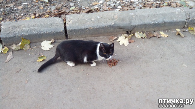 ���� 3: �������� ��� �����