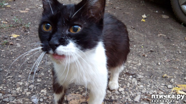 ���� 4: �������� ��� �����