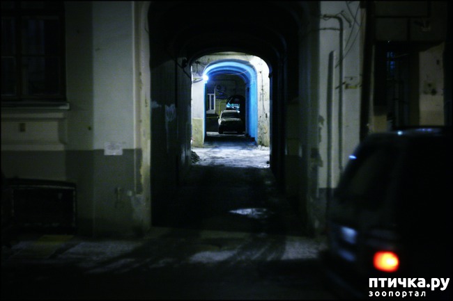 ���� 1: ������� � ����������