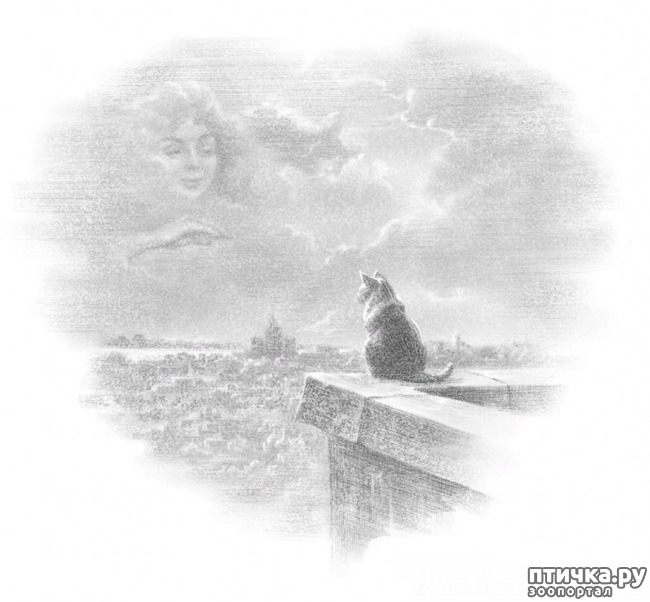 ���� 1: ����� � ������