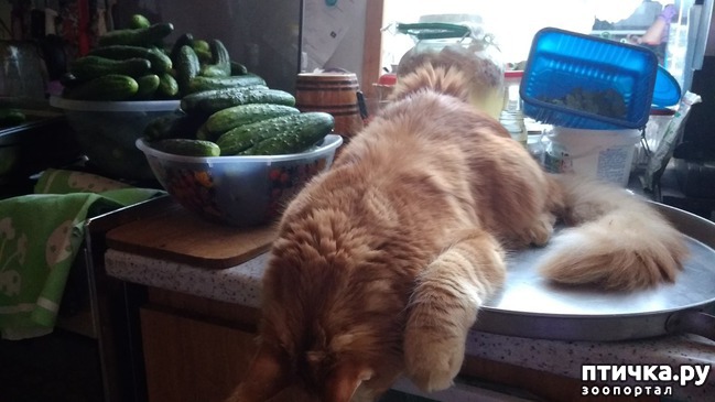 ���� 5: ��� �������)