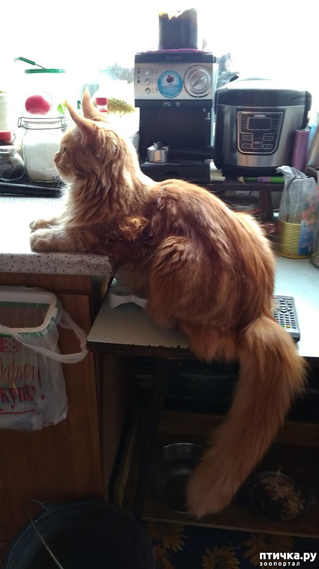 ���� 9: ��� �������)